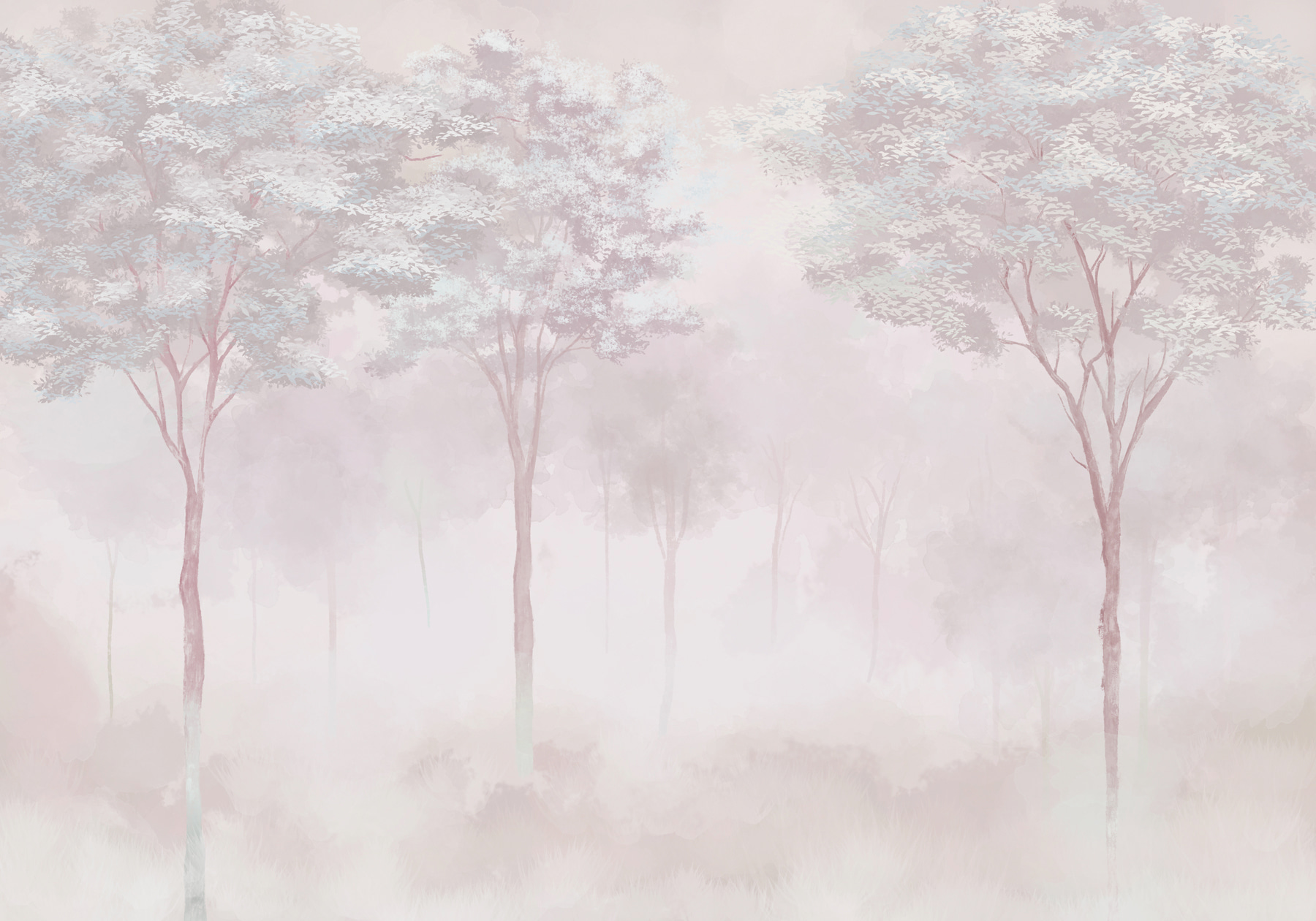 Foggy forest with trees