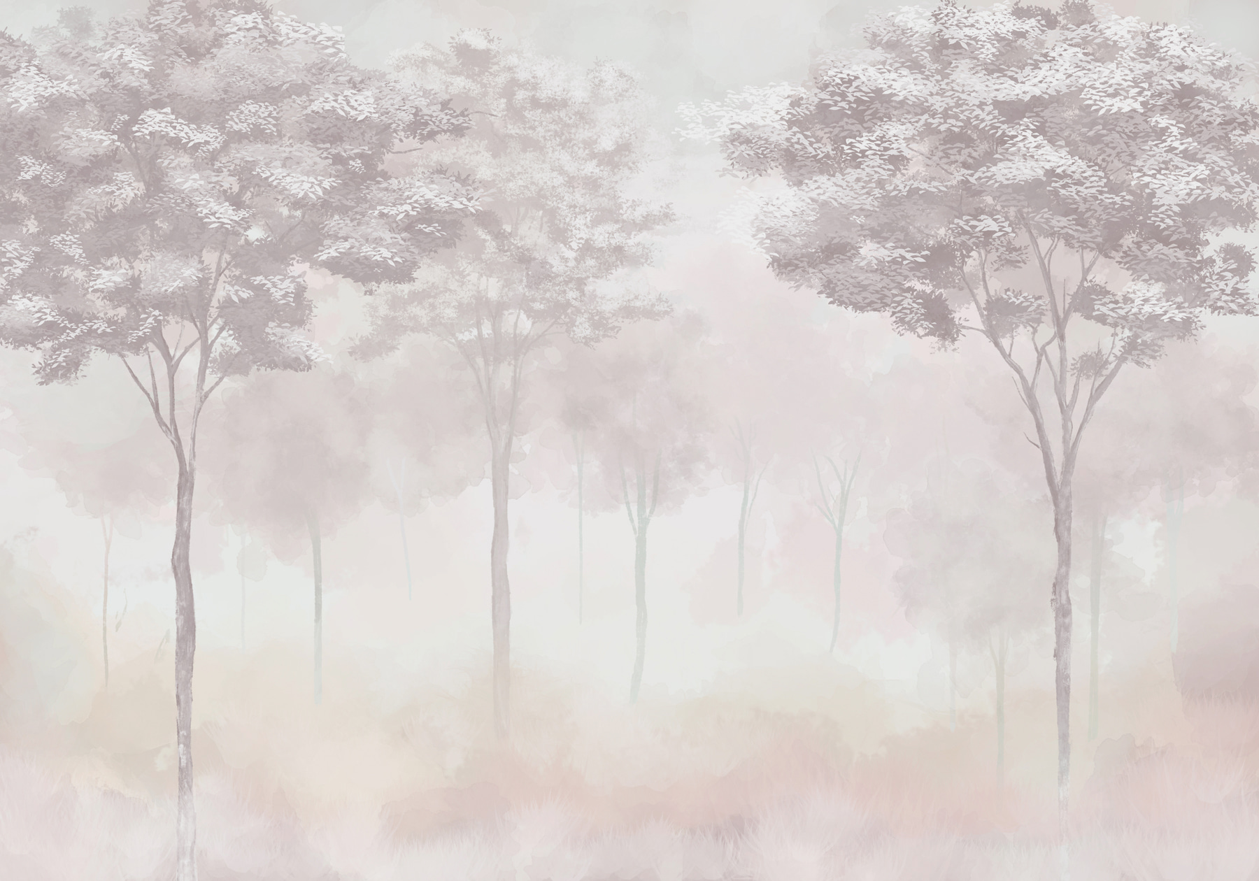 Group of trees in a foggy forest Group of trees in a foggy forest