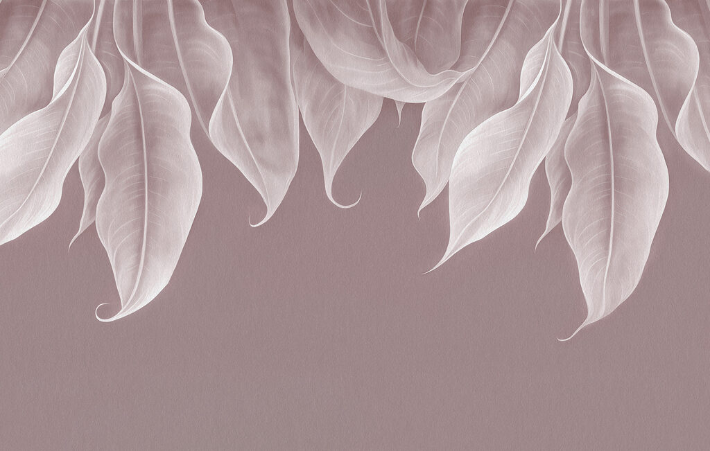 Close up of leaves