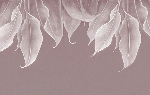 Close up of leaves