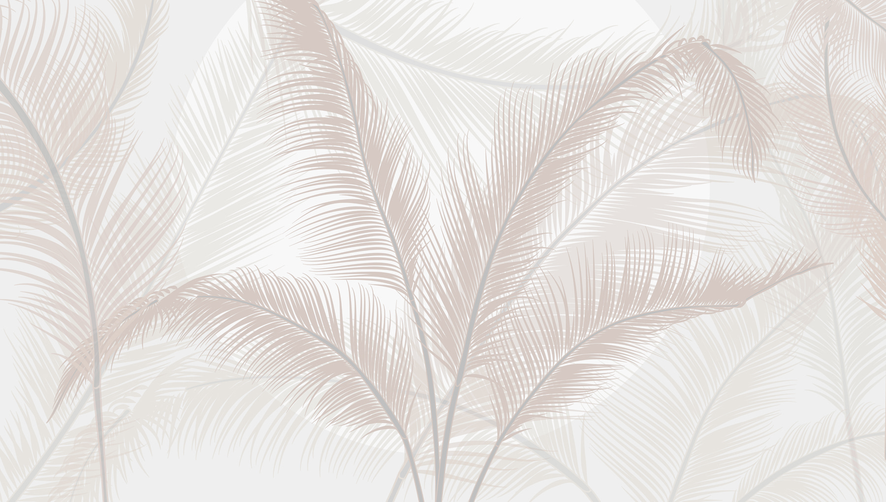 Group of feathers on a white background Group of feathers on a white background