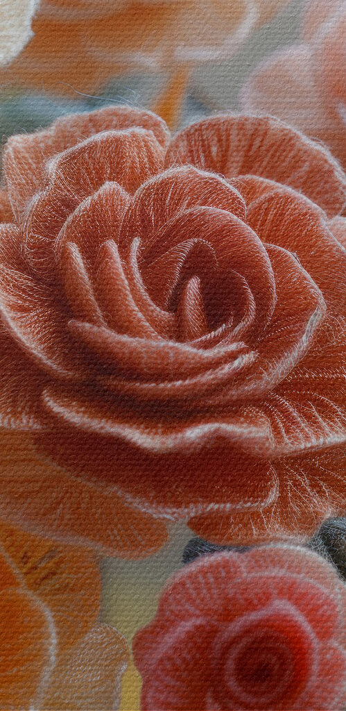 Close up of flowers