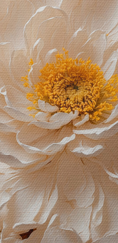 White flower with a yellow center White flower with a yellow center