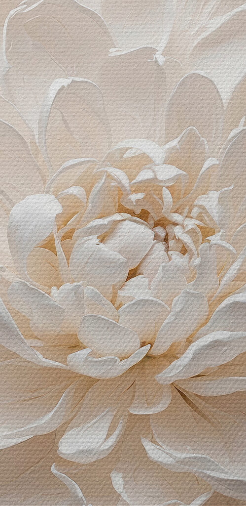 Close up of a flower