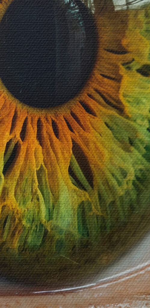 Close up of an eye Close up of an eye