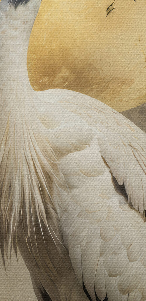 Bird standing in front of a full moon