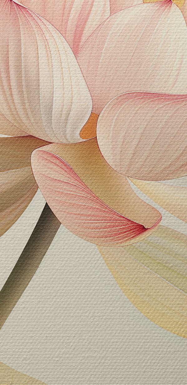 Close up of a flower Close up of a flower
