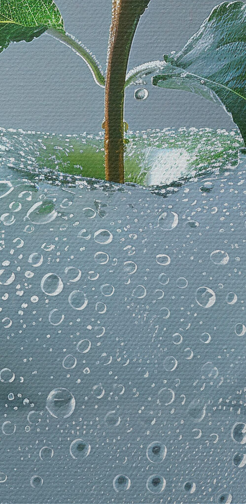 Clear apple with water drops on it