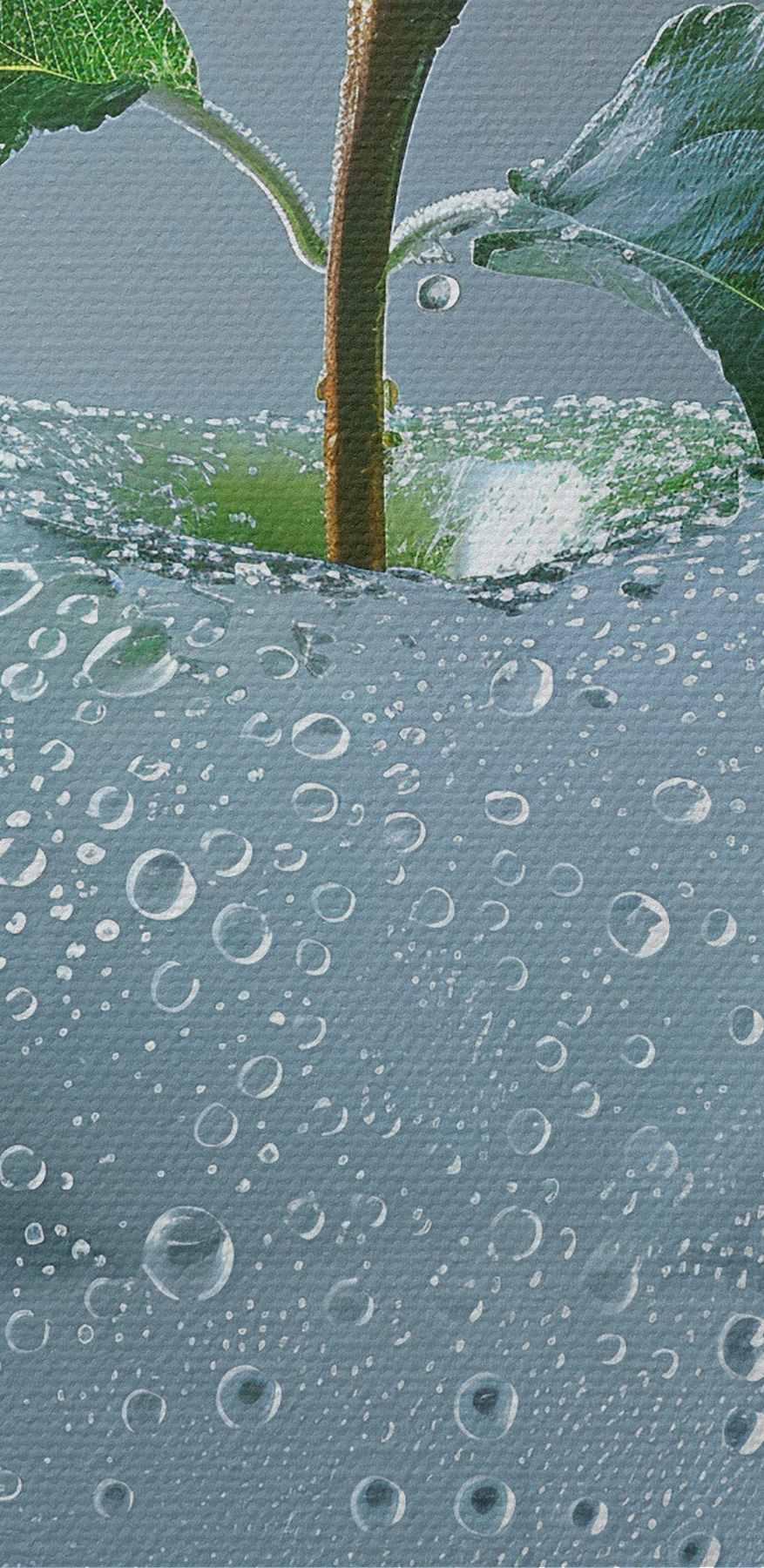 Чисте яблуко з краплями води на ньому