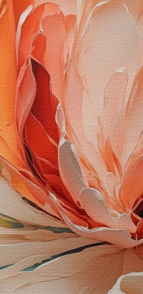 Close up of a flower Close up of a flower