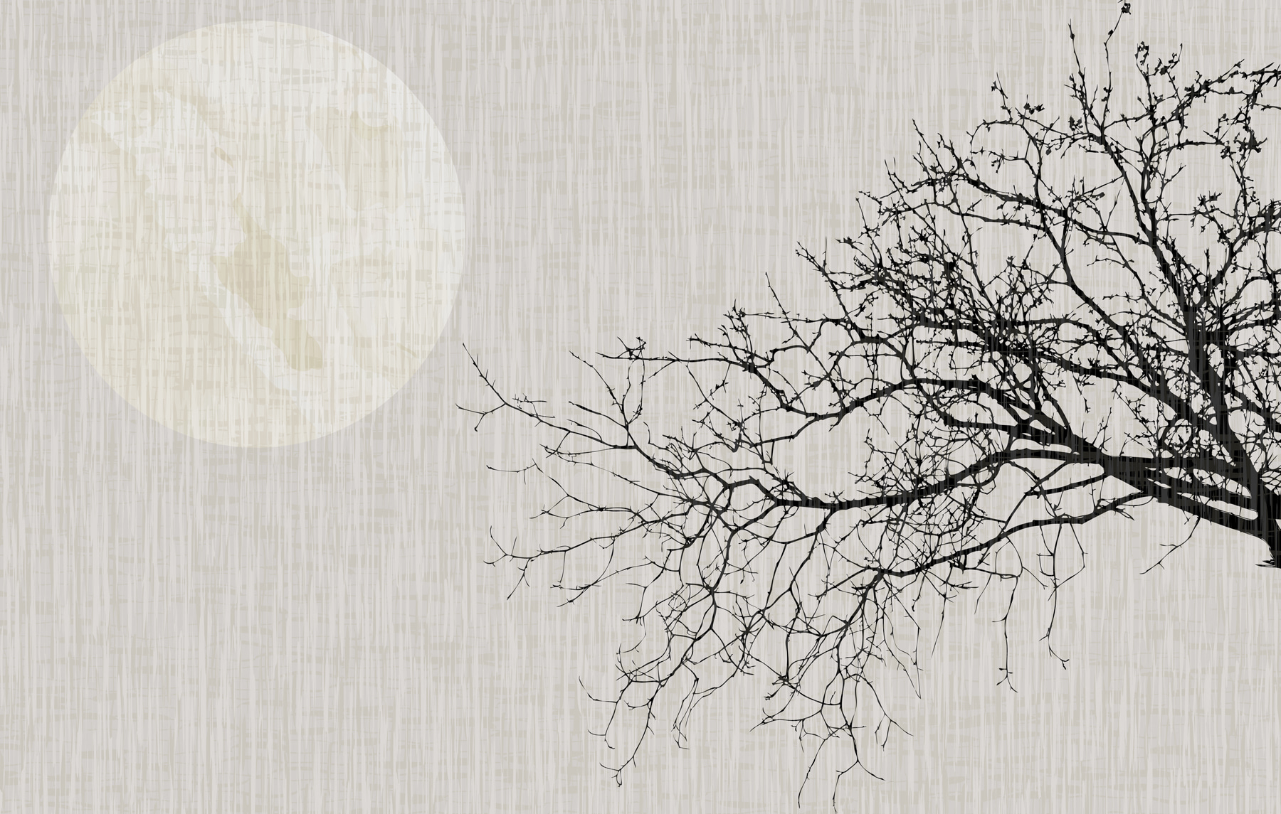 Tree with no leaves Tree with no leaves