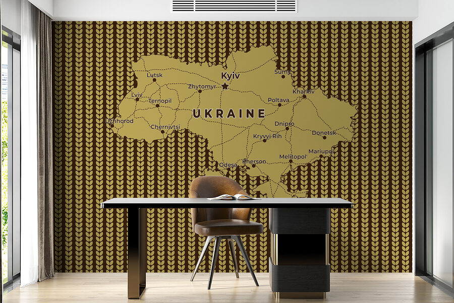 Карта України з лініями та містами