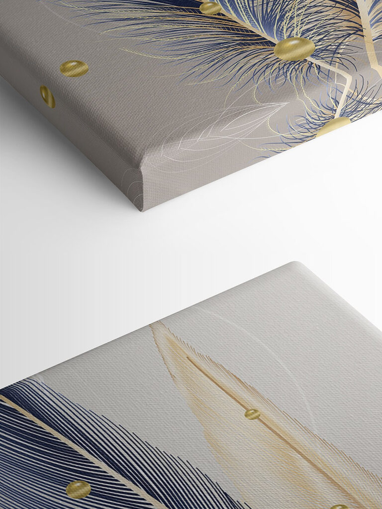 Close up of feathers