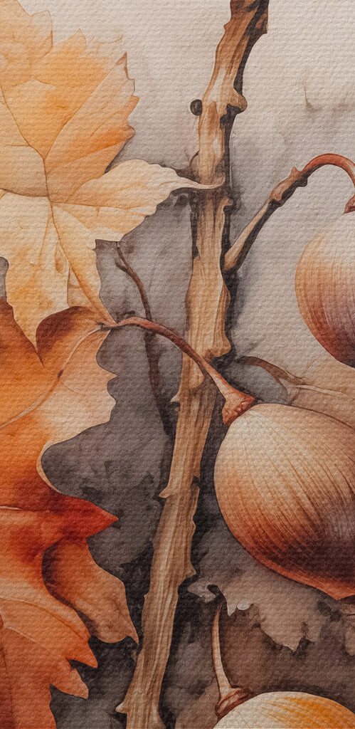 Acorns and leaves on a branch with a white background