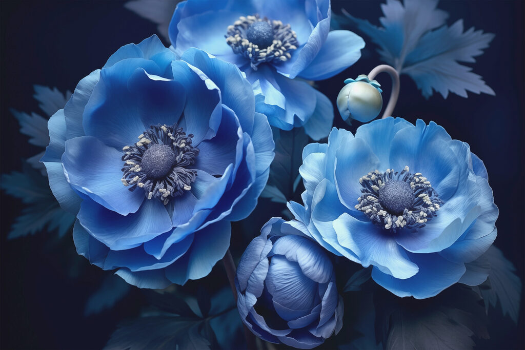 Group of blue flowers Group of blue flowers