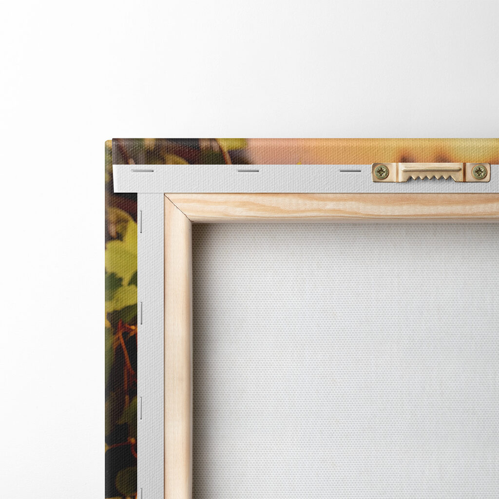 Group of wine glasses and grapes on a table Group of wine glasses and grapes on a table