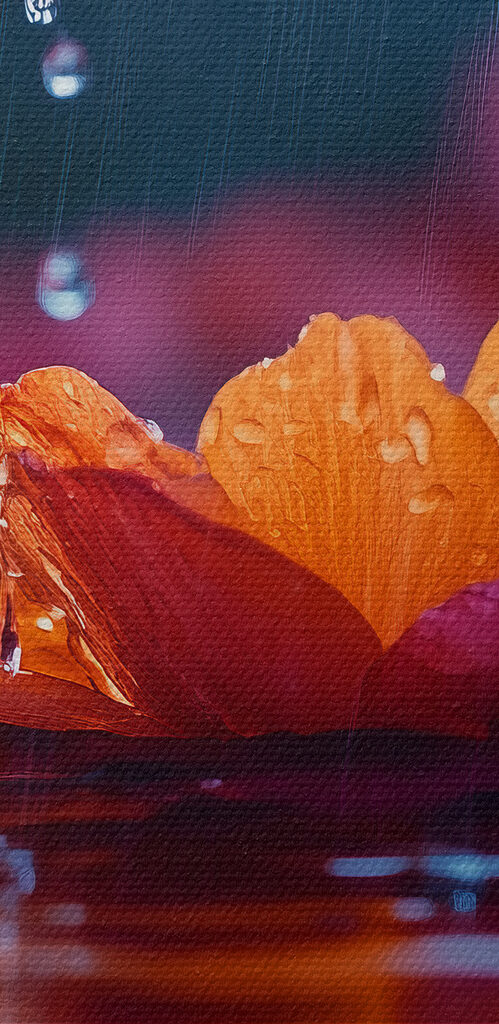 Flower in the water