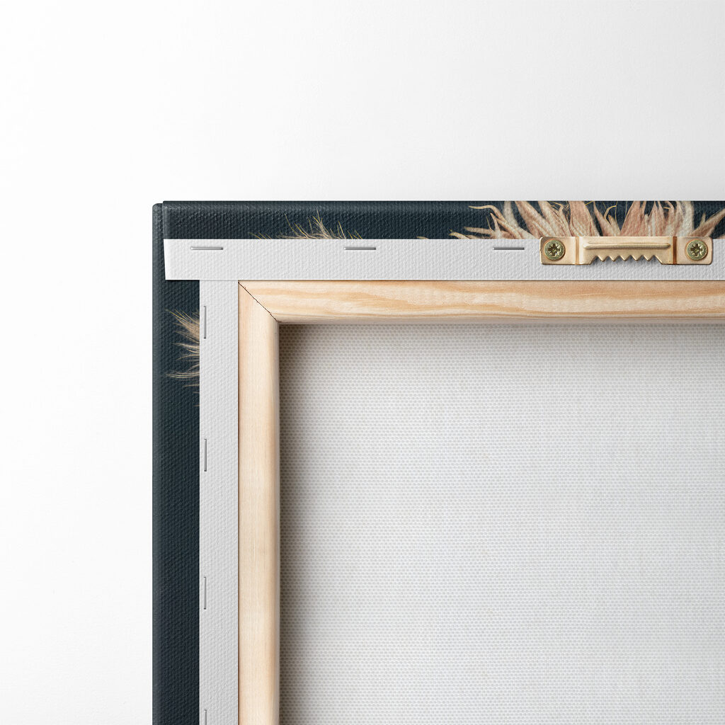 Llama wearing sunglasses Llama wearing sunglasses