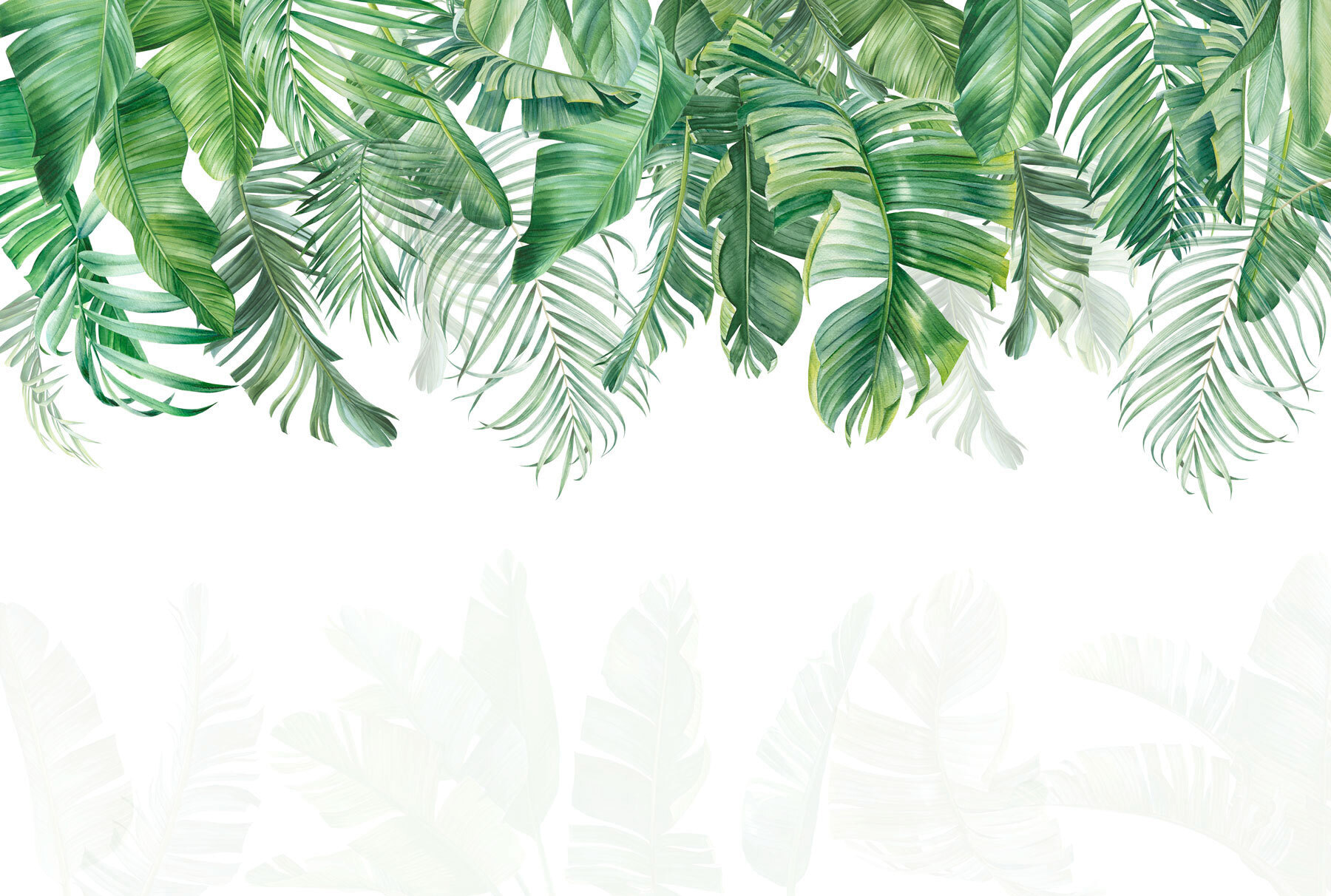 Row of green leaves Row of green leaves