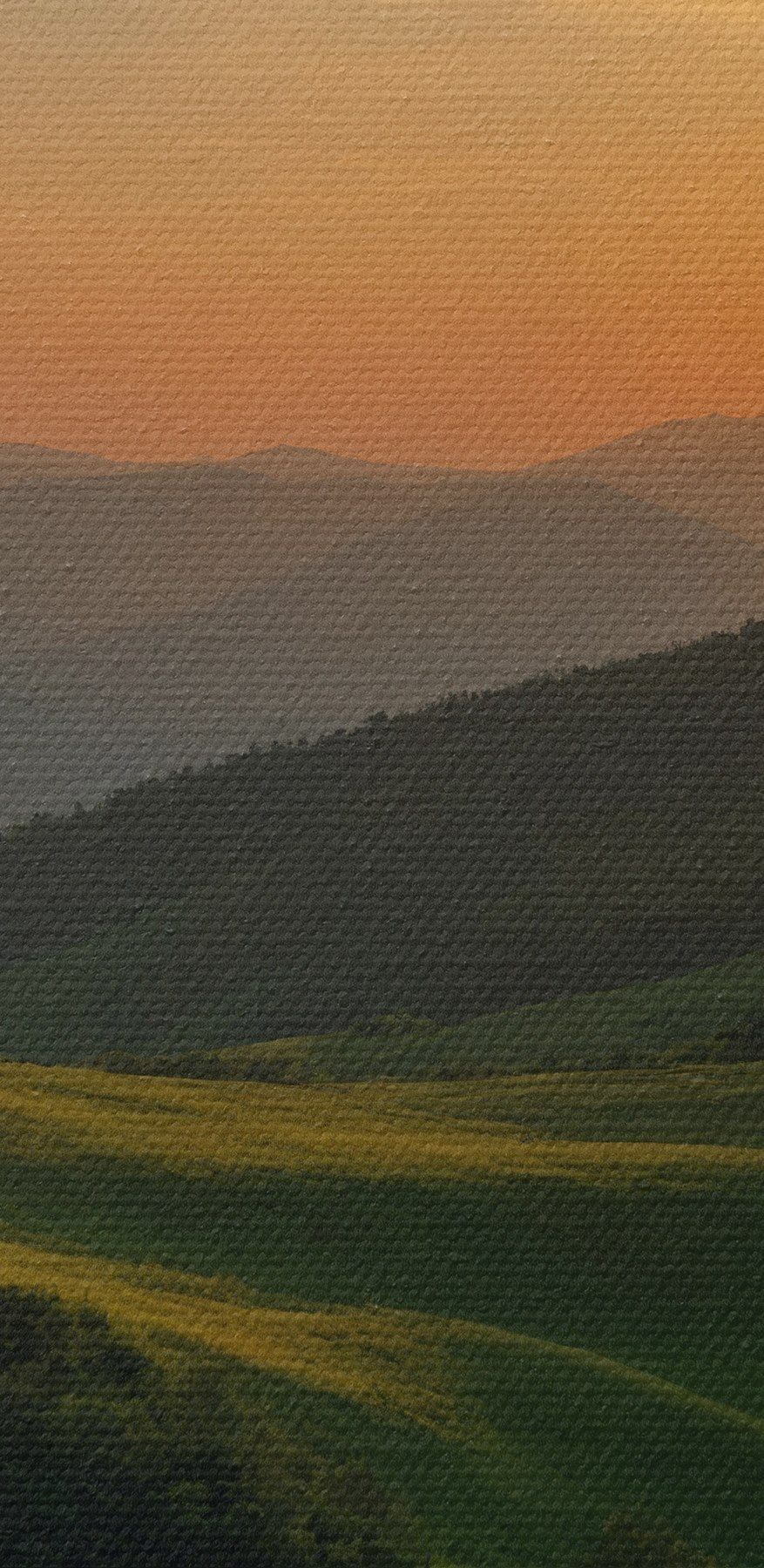 Sunset over a green hill Sunset over a green hill
