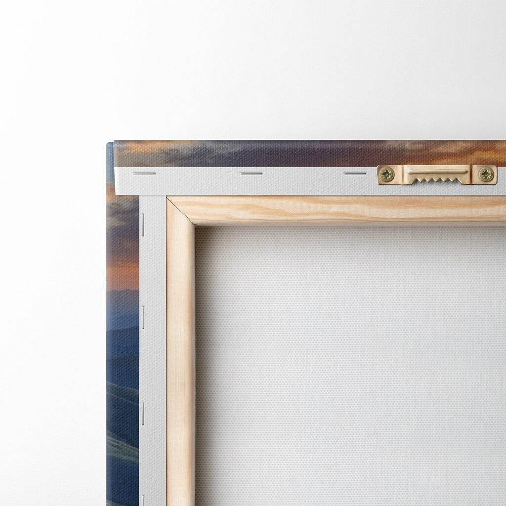 Field of flowers on a mountain