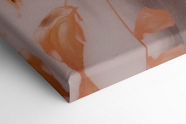 Close up of a flower Close up of a flower