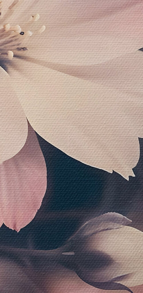 Delicate blossoms in soft shades