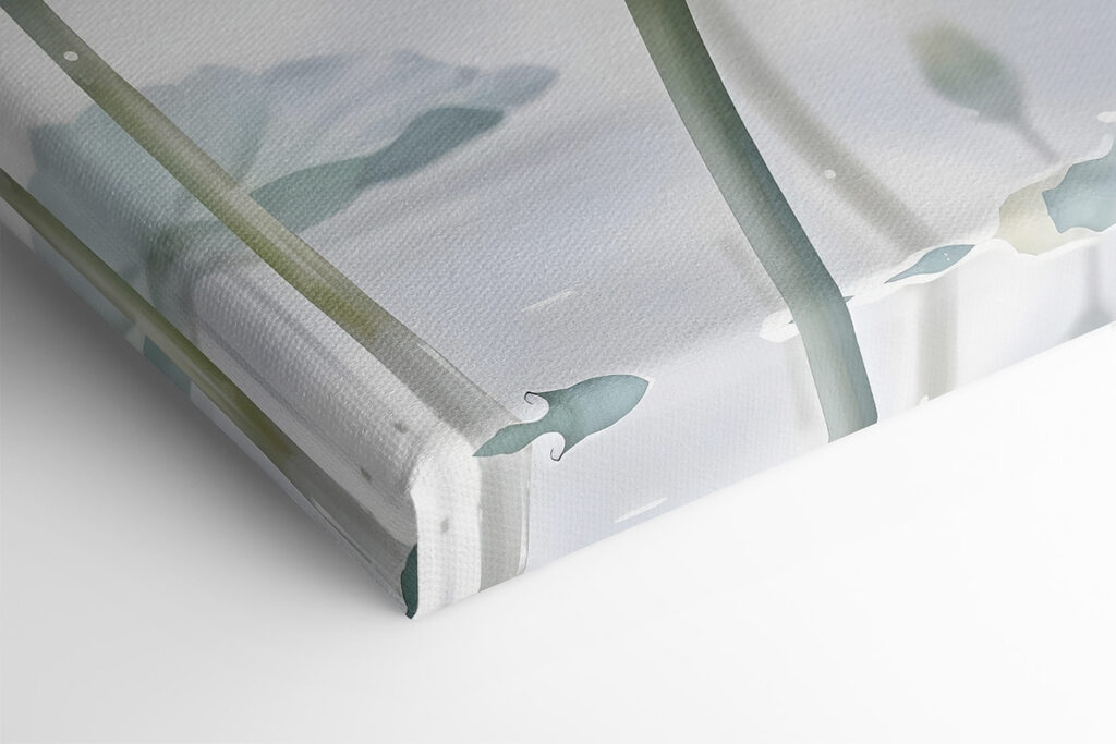 Group of white flowers Group of white flowers