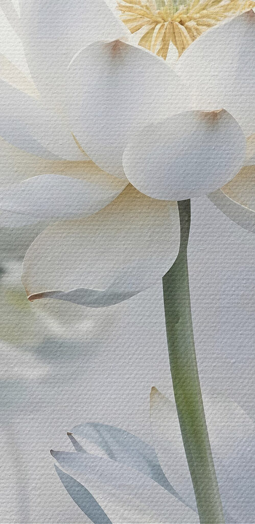 Group of white flowers Group of white flowers