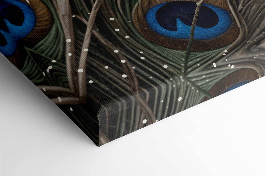 Close up of a peacock feather