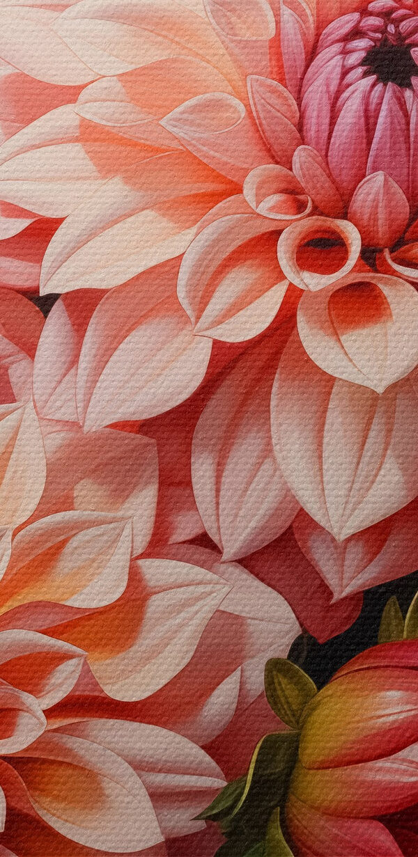 Group of pink and white flowers Group of pink and white flowers