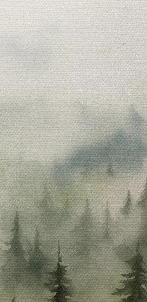 Foggy forest with trees