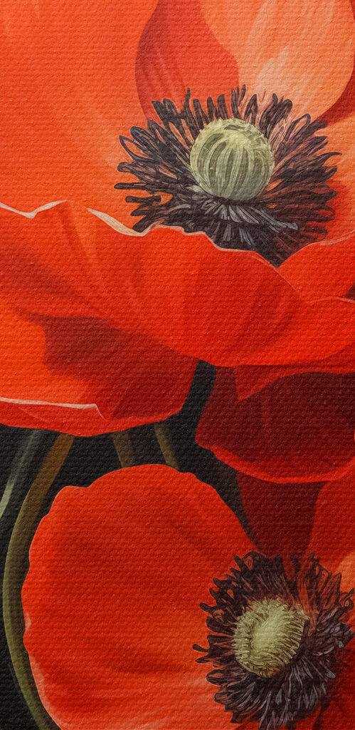 Close up of flowers