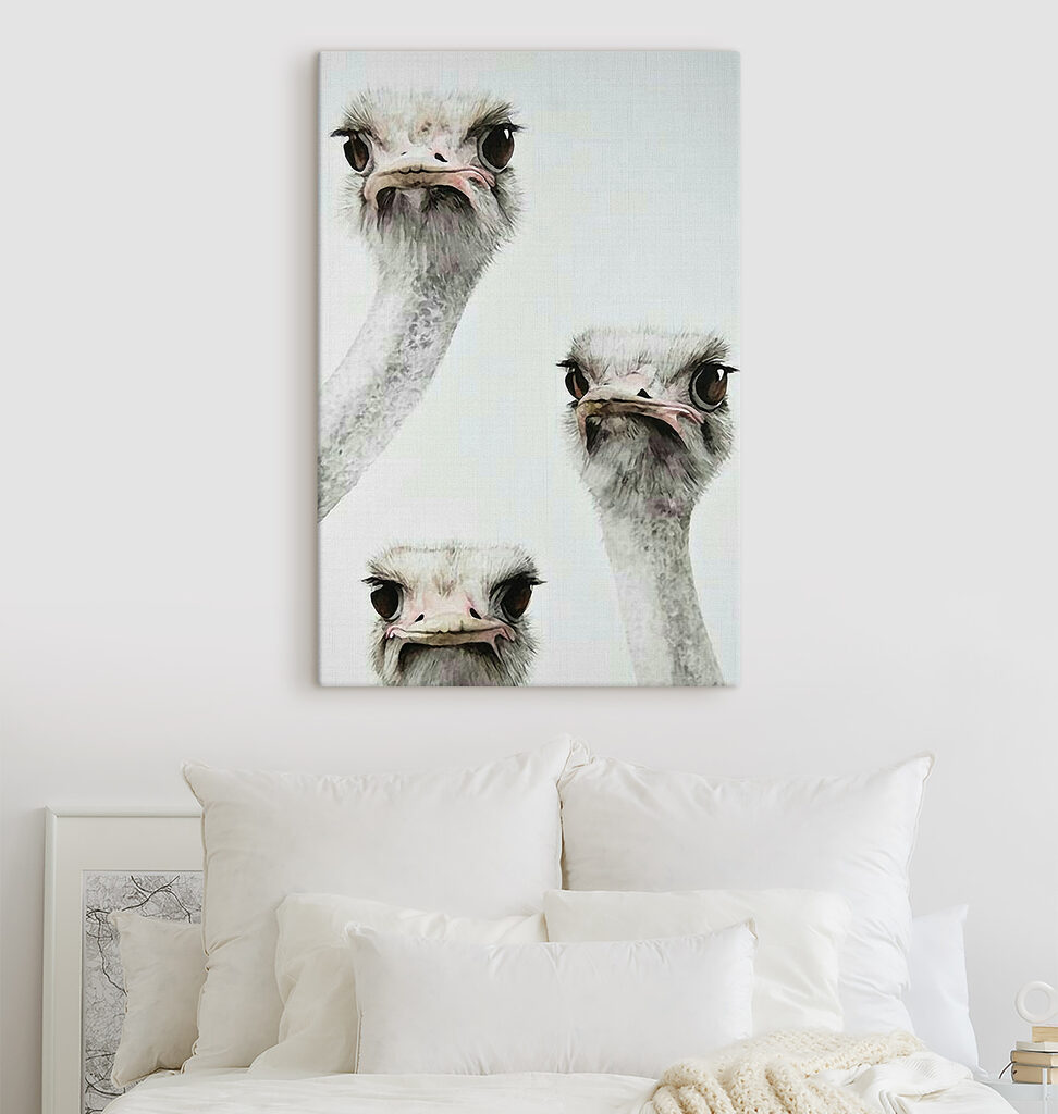Group of ostriches with their heads up