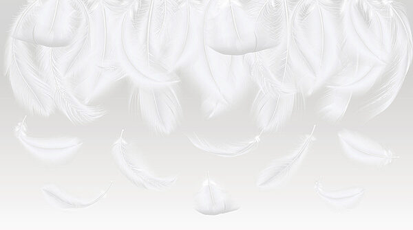 White feathers falling down