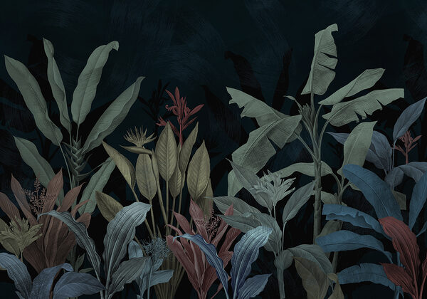 Close up of plants Close up of plants