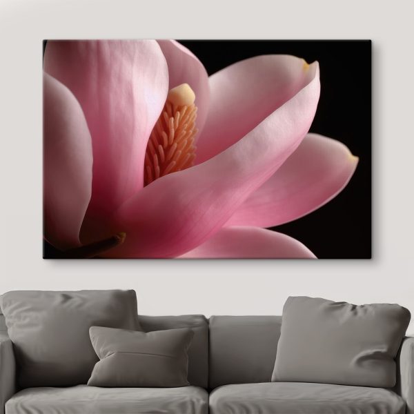 Pink petals embrace delicate core Pink petals embrace delicate core