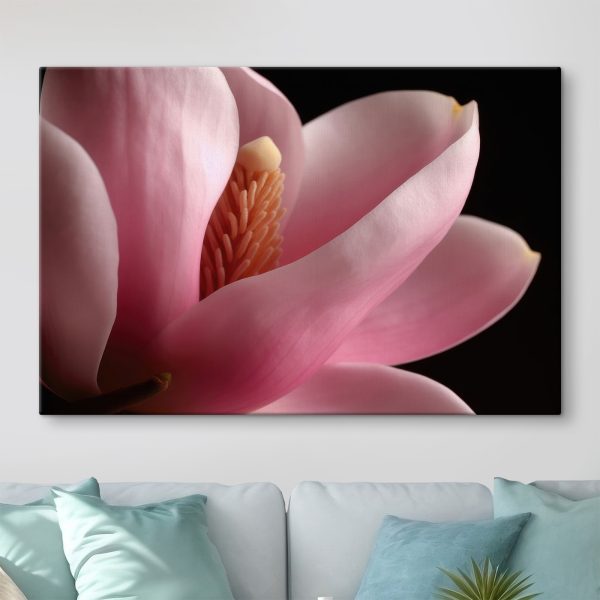 Pink petals embrace delicate core Pink petals embrace delicate core