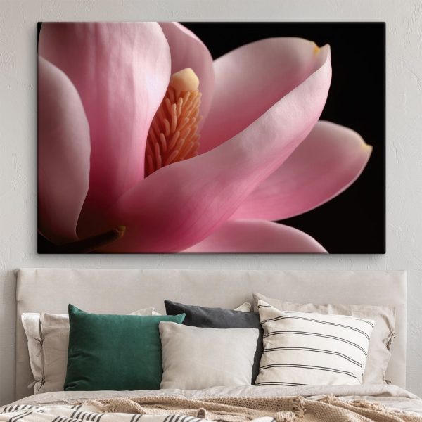 Pink petals embrace delicate core Pink petals embrace delicate core