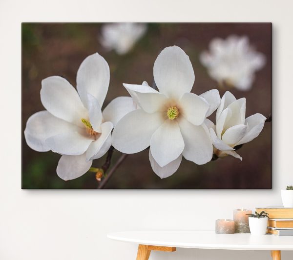 Group of white flowers Group of white flowers