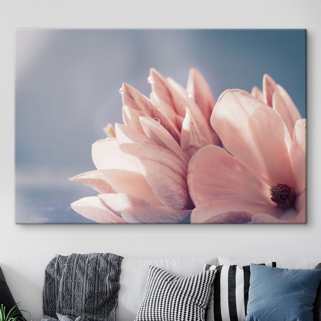 Petals glow in morning light Petals glow in morning light