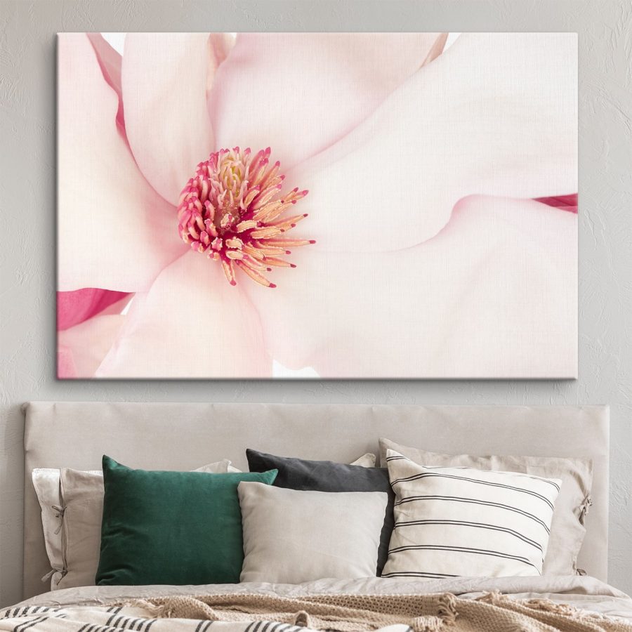 Soft petals envelop vibrant heart Soft petals envelop vibrant heart