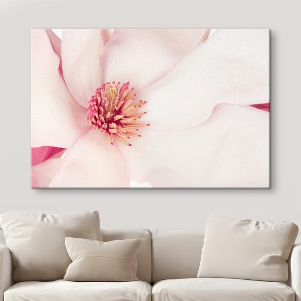 Soft petals envelop vibrant heart Soft petals envelop vibrant heart