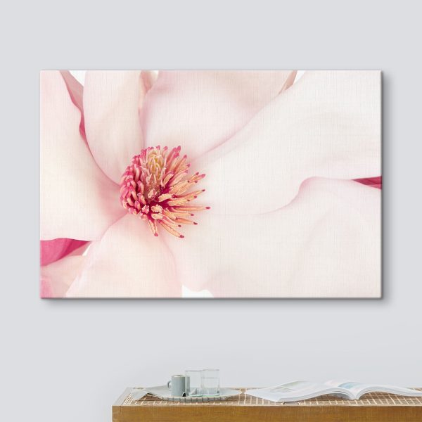 Soft petals envelop vibrant heart Soft petals envelop vibrant heart