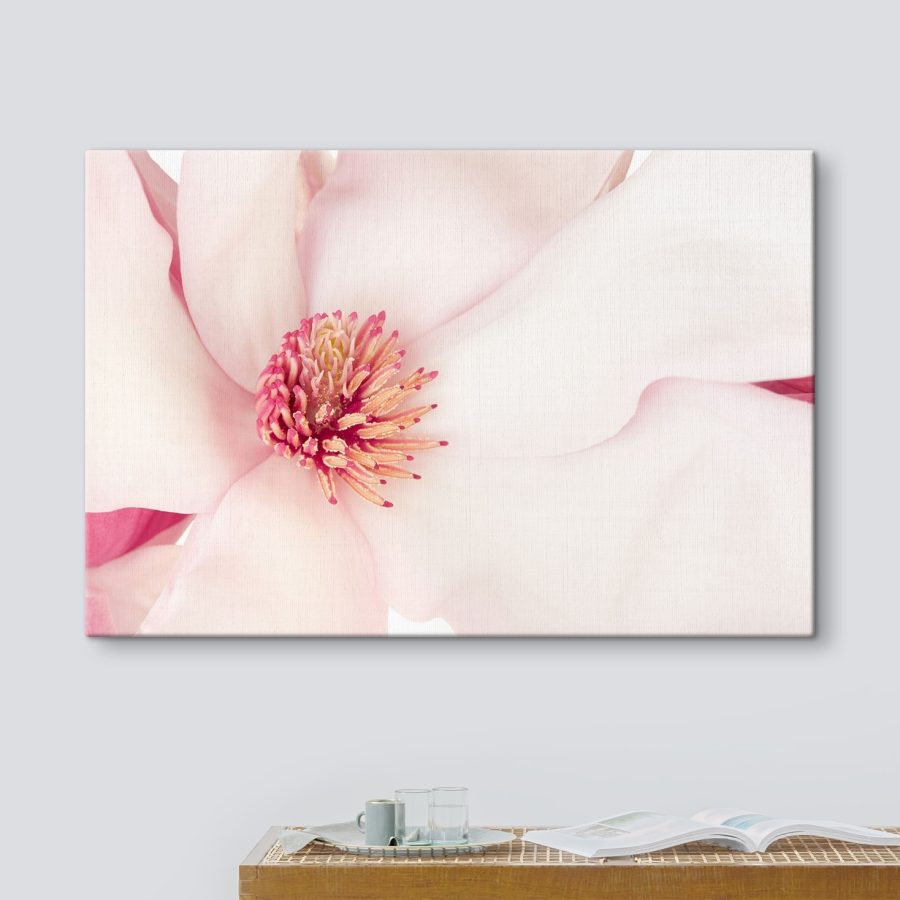 Soft petals envelop vibrant heart Soft petals envelop vibrant heart
