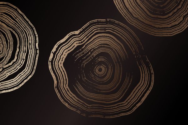 Group of rings on a black background Group of rings on a black background