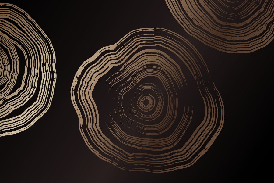 Group of rings on a black background Group of rings on a black background
