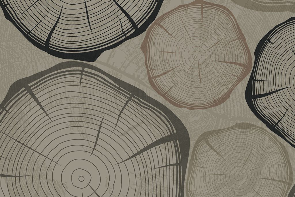 Group of rings of trees Group of rings of trees
