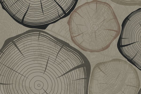 Group of rings of trees Group of rings of trees