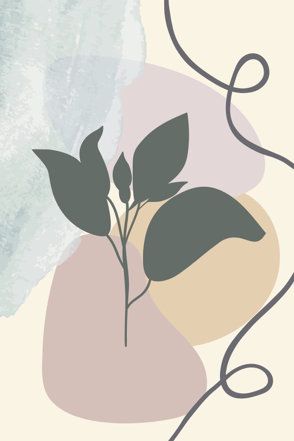 Plant with leaves on a colorful background Plant with leaves on a colorful background